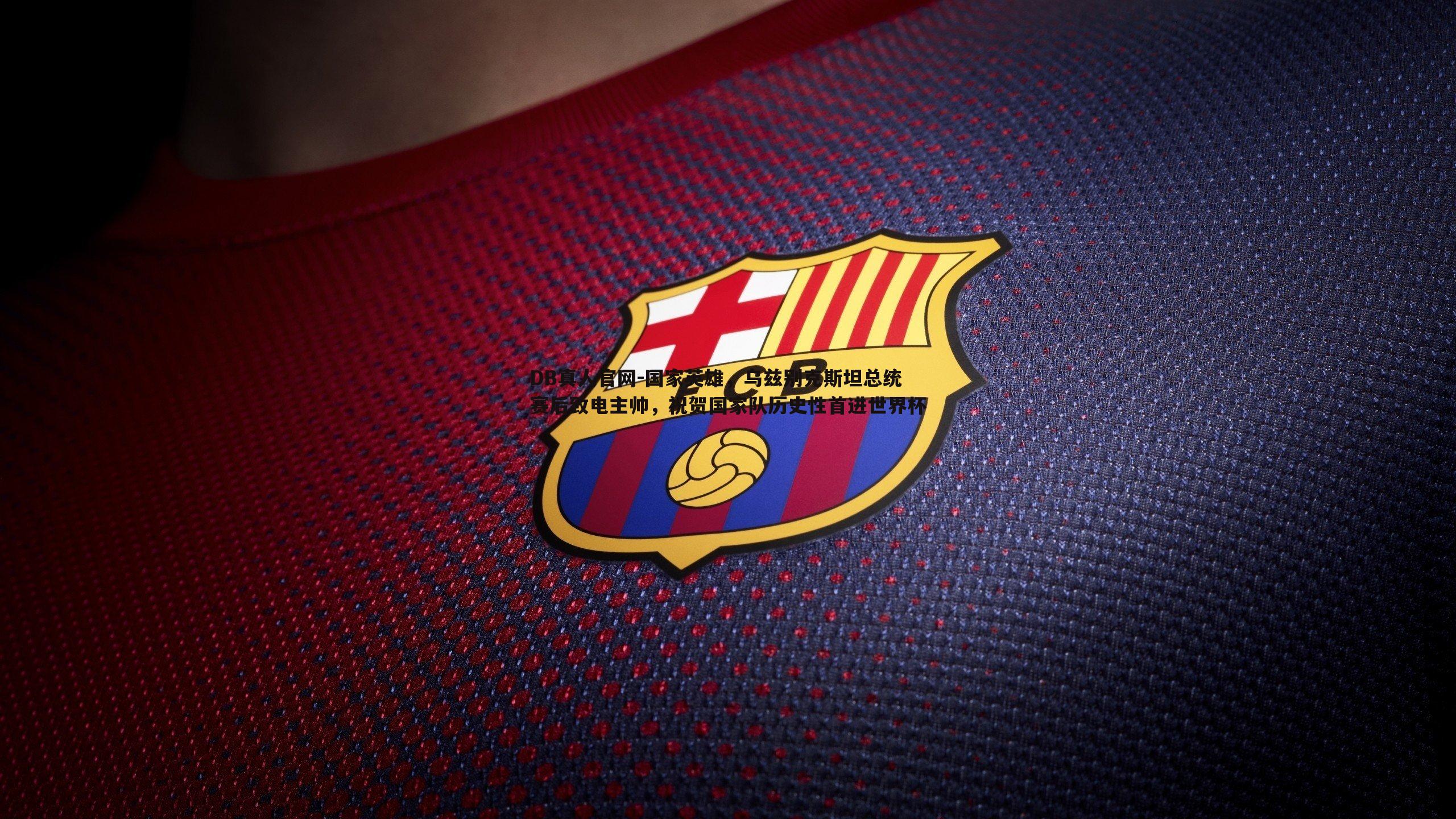 DB真人官网-国家英雄，乌兹别克斯坦总统赛后致电主帅，祝贺国家队历史性首进世界杯